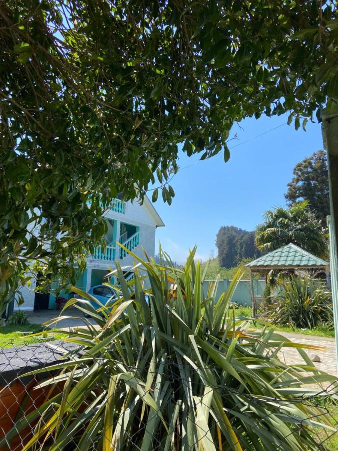 Homestay In Batumi Дом В Чакви Ngoại thất bức ảnh
